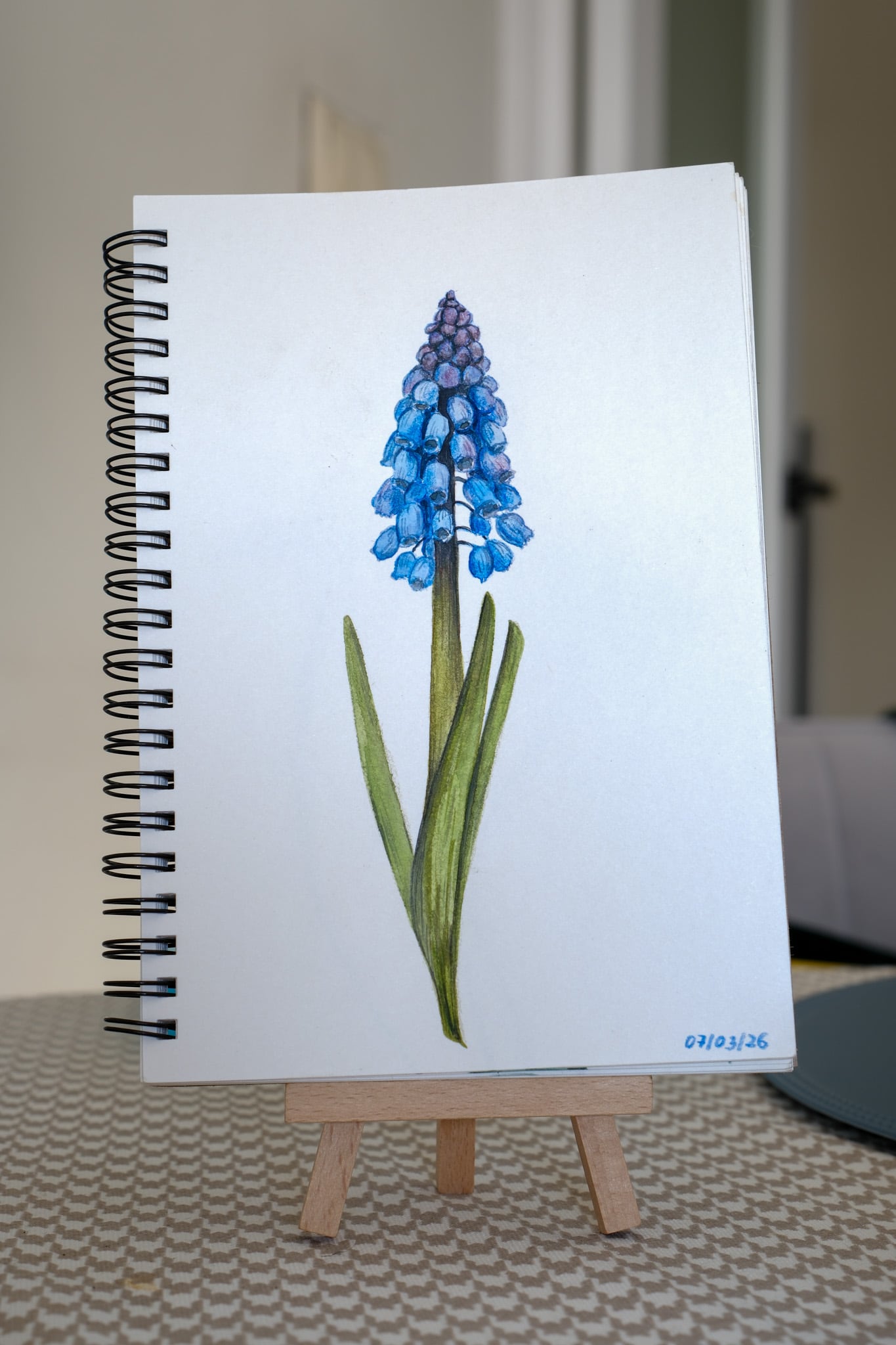 Original watercolor painting of a blue muscari flower on a sketchbook page displayed on a small wooden easel.