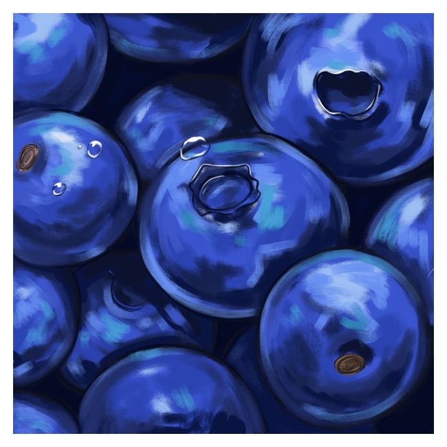 Close-up digital painting of glossy blueberries with water drops by Adelya
