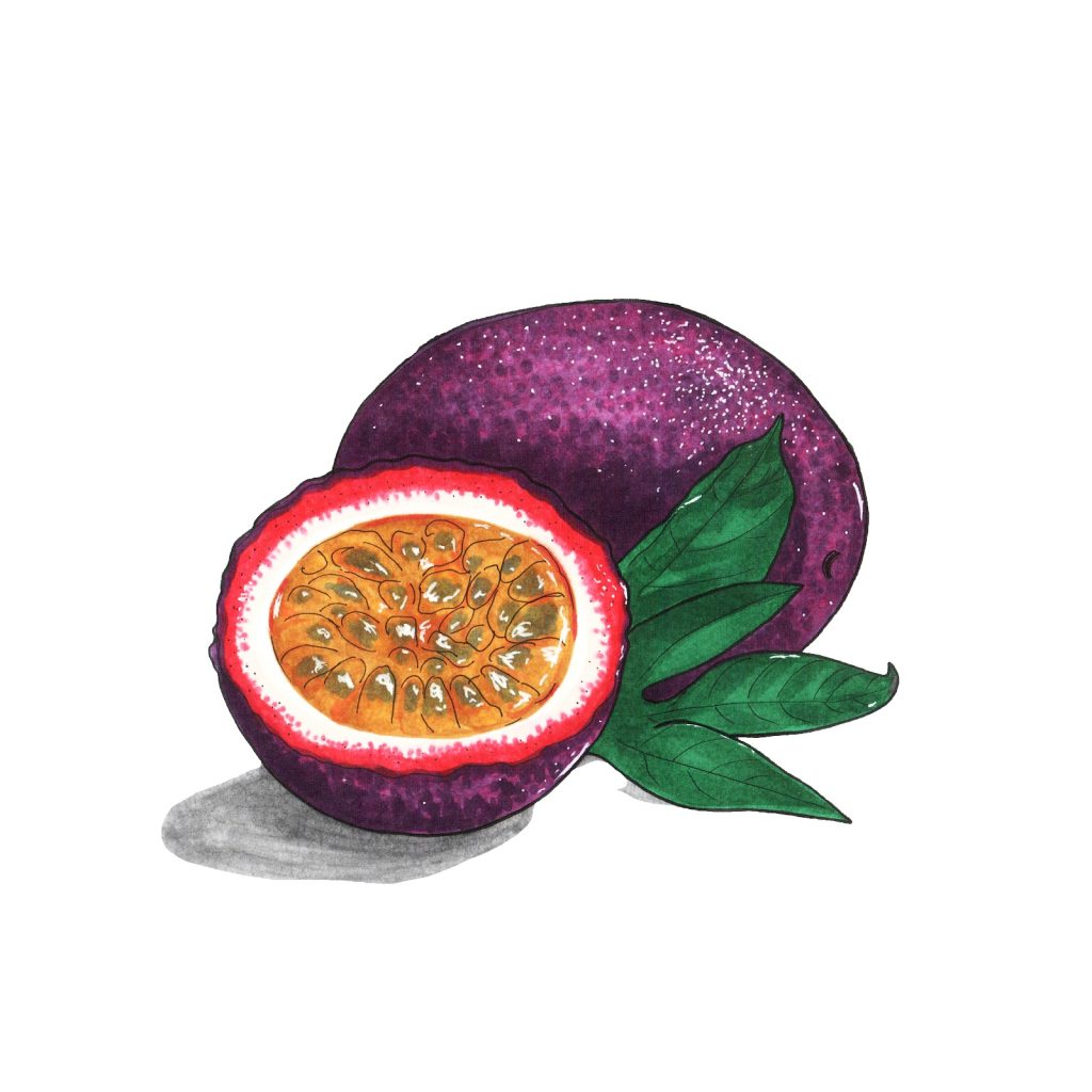 Marker drawing of a whole purple passion fruit, a cut half with yellow pulp and seeds, and green leaves, by Adelya