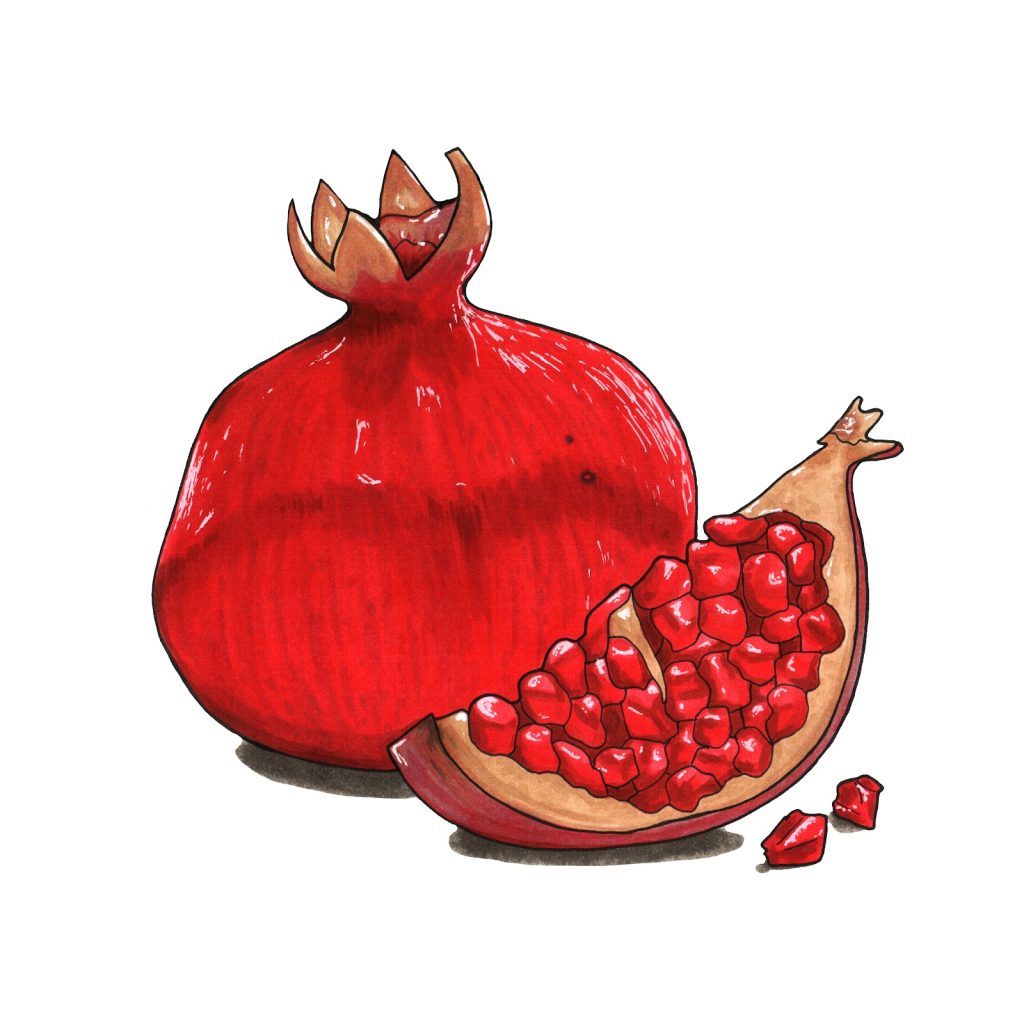 Marker drawing of a whole red pomegranate with a cut wedge full of seeds and two loose seeds, by Adelya