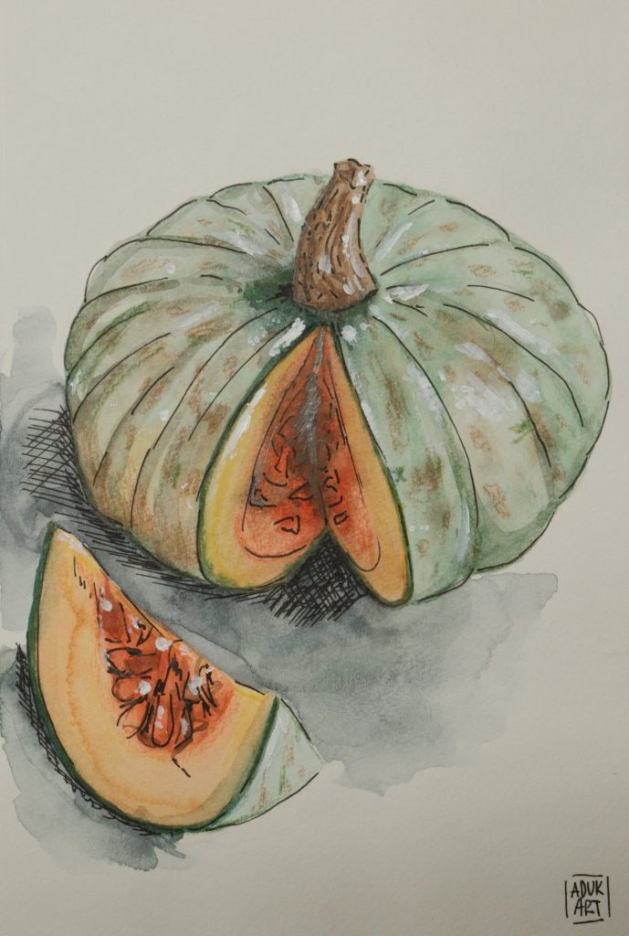 Watercolour drawing of a ribbed grey green pumpkin with a wedge cut out lying beside it, by Adelya